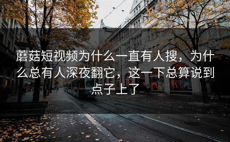 蘑菇短视频为什么一直有人搜，为什么总有人深夜翻它，这一下总算说到点子上了
