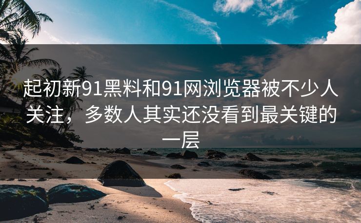 起初新91黑料和91网浏览器被不少人关注，多数人其实还没看到最关键的一层