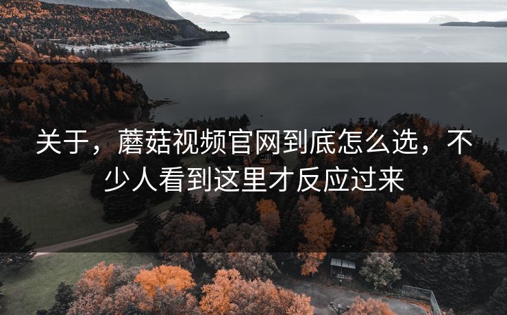 关于，蘑菇视频官网到底怎么选，不少人看到这里才反应过来