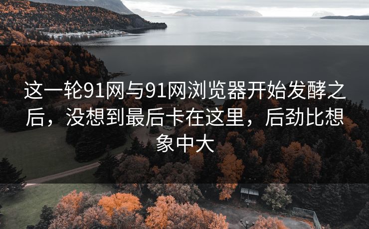 这一轮91网与91网浏览器开始发酵之后，没想到最后卡在这里，后劲比想象中大