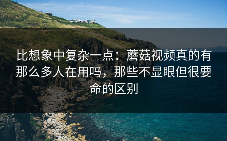 比想象中复杂一点：蘑菇视频真的有那么多人在用吗，那些不显眼但很要命的区别