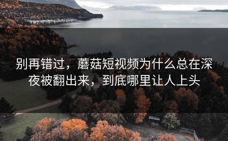 别再错过，蘑菇短视频为什么总在深夜被翻出来，到底哪里让人上头